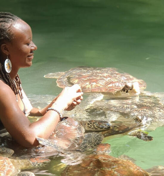 Mnemba Island + Aquarium Sea Turtles