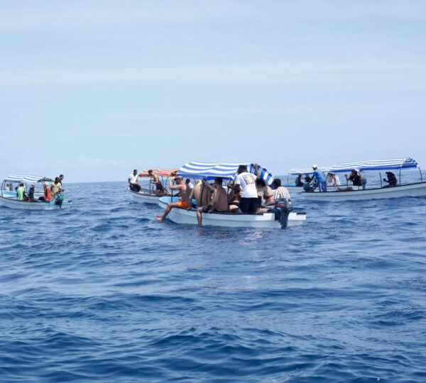 Mnemba Island Tour